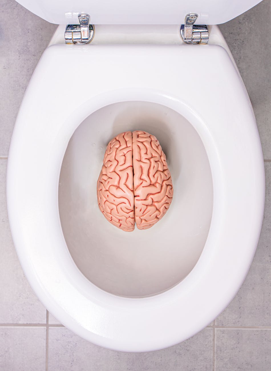 a human brain model in a toilet bowl