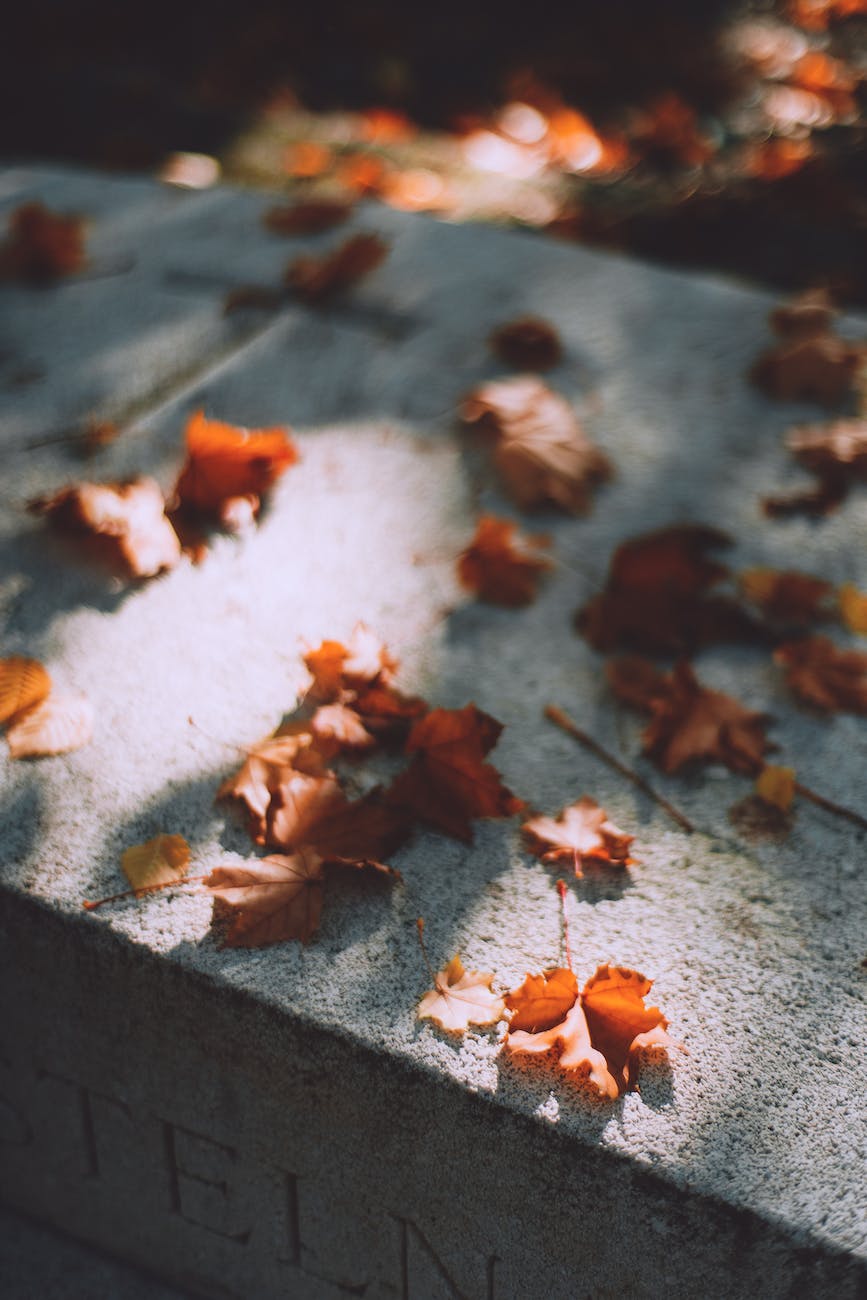 autumn fallen leaves on gravestone