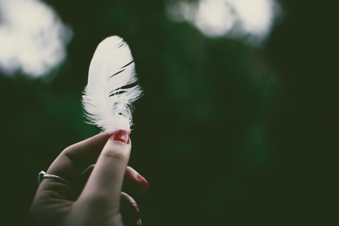 person holding white feather in selective focus photography