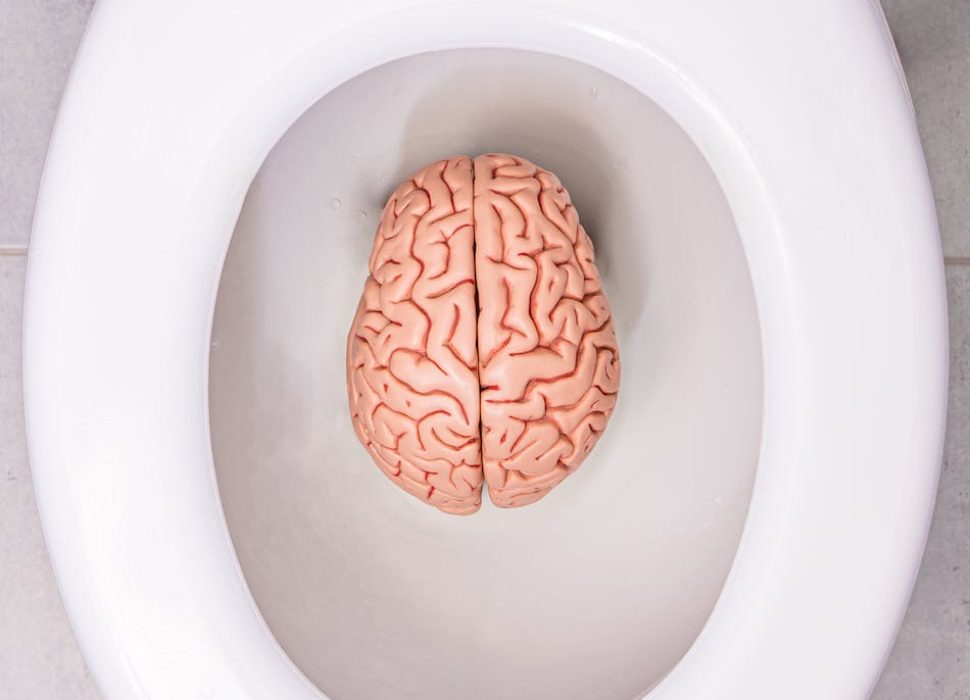 a human brain model in a toilet bowl